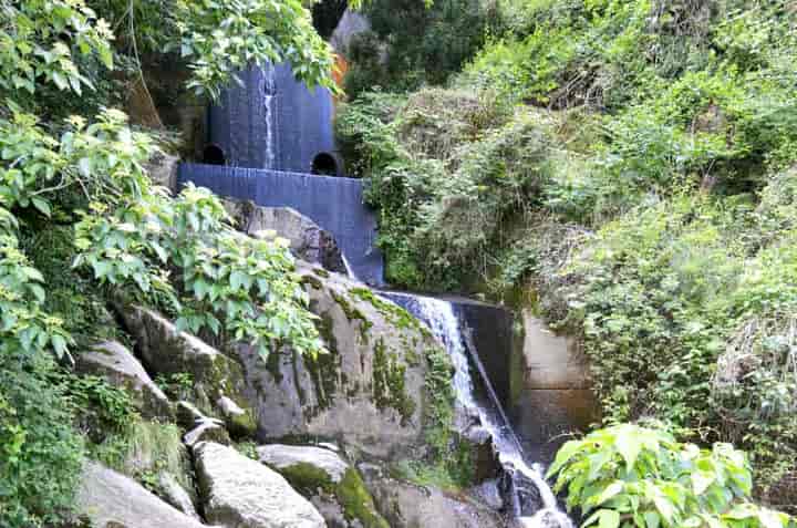 ����E����